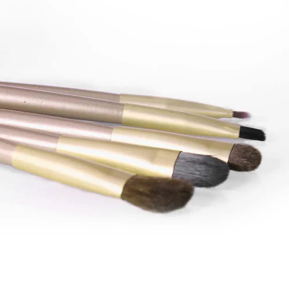 OTO COSMETICS 5 PC Brush Set  - ( Upto 90% Off )
